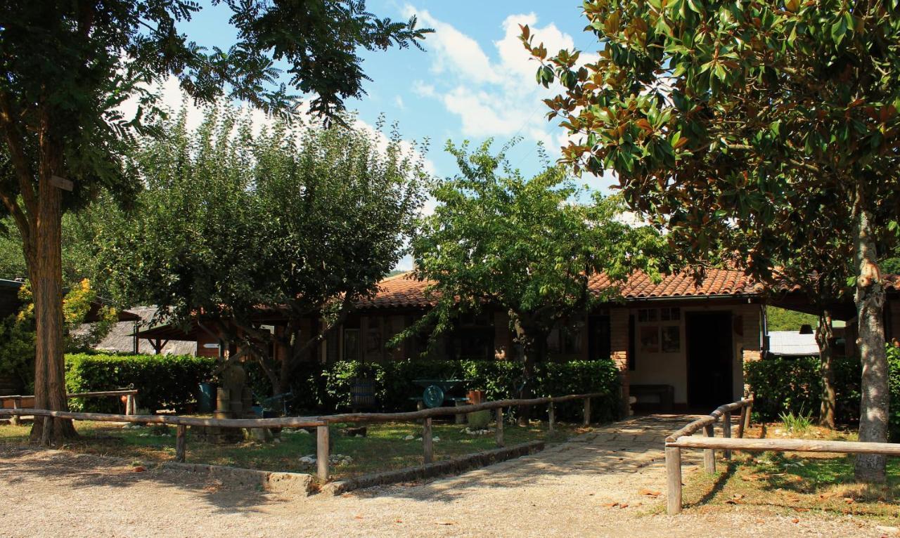 La Dimora Degli Etruschi Hostel Civitella Cesi Exterior foto
